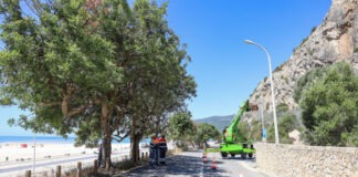 Remoção de rochas junto ao túnel da Figueirinha arranca na quarta-feira Limpeza de taludes das redes dinamicas na encosta da Arrabida na Figueirinha 5 2048x1365