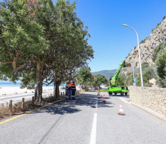 Remoção de rochas junto ao túnel da Figueirinha arranca na quarta-feira Limpeza de taludes das redes dinamicas na encosta da Arrabida na Figueirinha 5 2048x1365