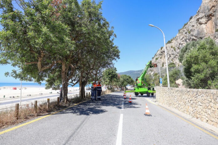 Limpeza de taludes das redes dinamicas na encosta da Arrabida na Figueirinha 5 2048x1365