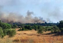 Setúbal compensa munícipes que cederam água para combater incêndio no Sado