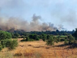 Setúbal compensa munícipes que cederam água para combater incêndio no Sado