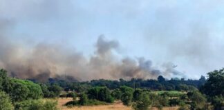 Setúbal compensa munícipes que cederam água para combater incêndio no Sado