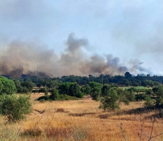 Setúbal compensa munícipes que cederam água para combater incêndio no Sado