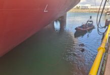 Encontrado corpo de mergulhador desaparecido quando trabalhava em navio em Setúbal Corpo setubal 19ago