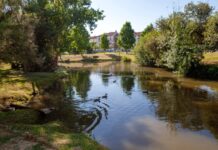 Venha redescobrir os parques do concelho da Moita Parque da moita 1 2500