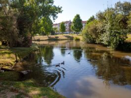 Venha redescobrir os parques do concelho da Moita Parque da moita 1 2500