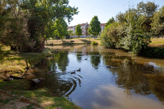 Parque da moita 1 2500