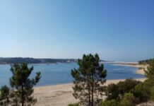 Associação ambiental contesta urbanização em área da Rede Natura 2000 no Seixal 18617923