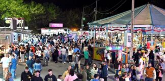 Feira do Monte em Santiago do Cacém promove artesanato e produtos regionais 20240901 FEIRA MONTE TERRADO foto CMSC PCC sel 40 scaled