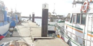 Porto de Setúbal substitui passadiços flutuantes da Doca de Pesca DocadePesca