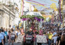 Festa das Vindimas celebra a tradição que une Palmela Cortejo