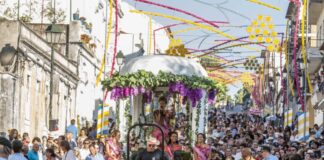 Festa das Vindimas celebra a tradição que une Palmela Cortejo