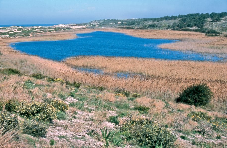 ObservaLagunas junta natureza e ciência este fim de semana em Santiago do Cacém Reserva lagoa santo andre